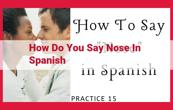 Definitive Guide to Spanish Vocabulary and Nasal Health: "Nariz" and Related Terms