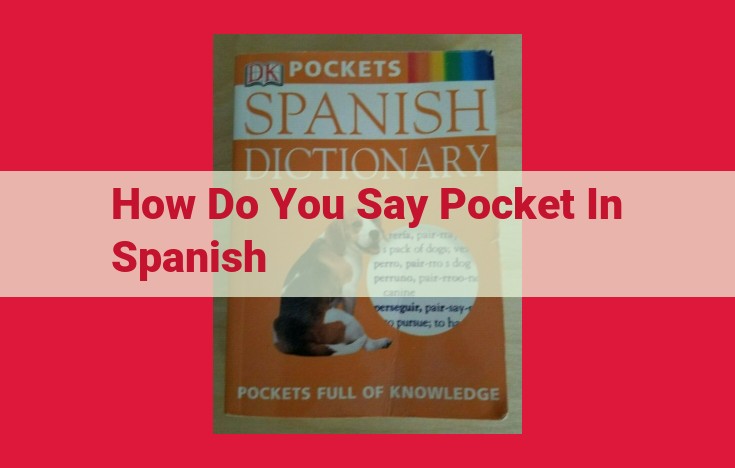 Bolsillo: Your Ultimate Guide to Pocket Types in Spanish