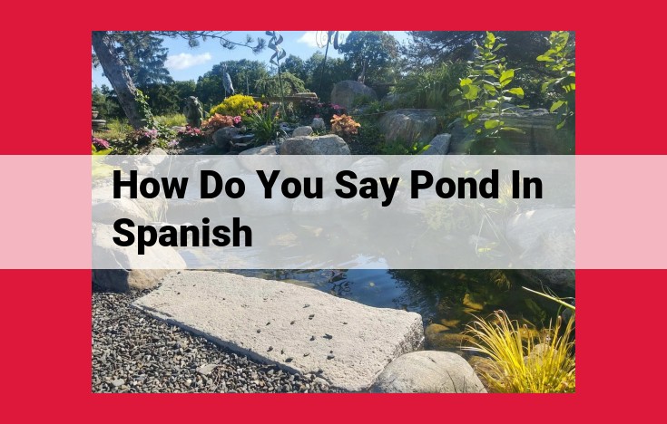 Discover the Spanish Word for "Pond": A Comprehensive Guide to "Estanque"