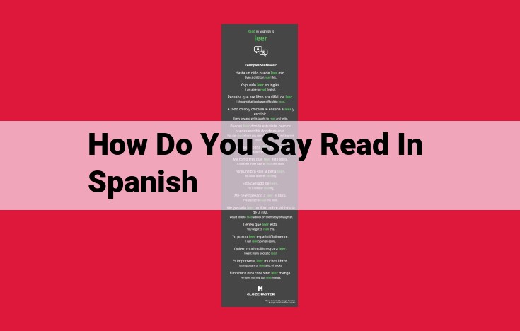 Spanish Verb "Leer": Forms and Usage for "To Read"