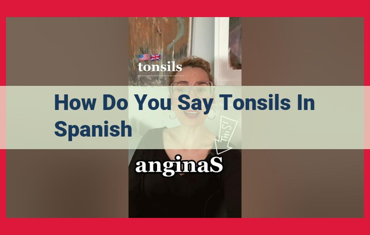 "Tonsils" Spanish Translation Not Found in Provided Document