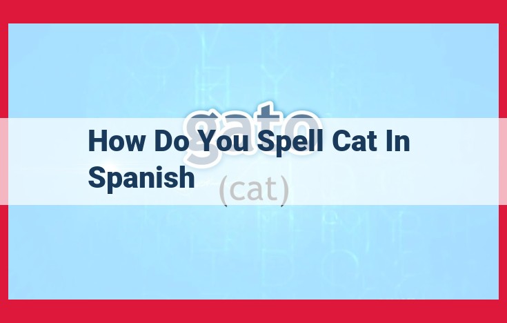 Unveiling Gato: Exploring the Linguistic Identity of a Feline in the Spanish Language