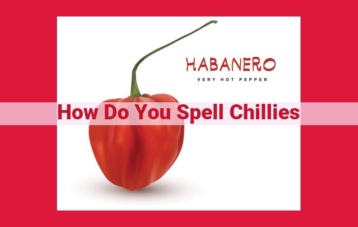 Regional Variations in the Spelling of "Chilli(e)s": A Guide for British and American English Speakers