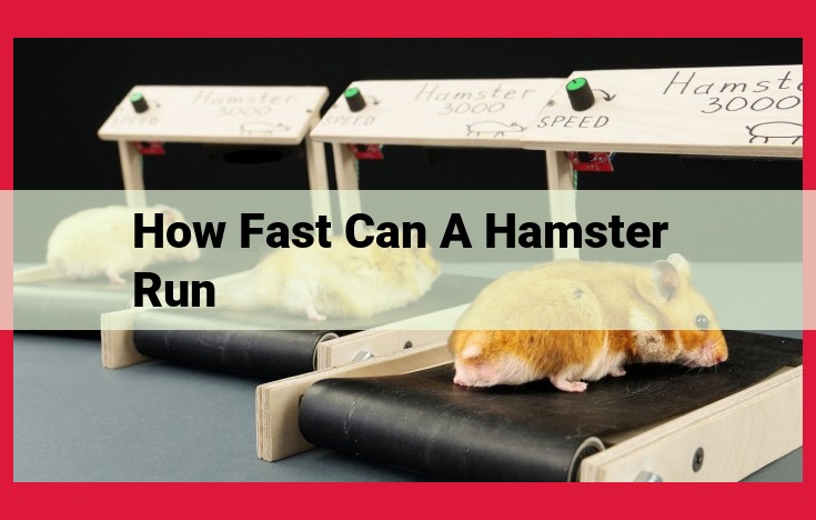 High-Speed Hamsters: Explore Their Amazing Running Capabilities