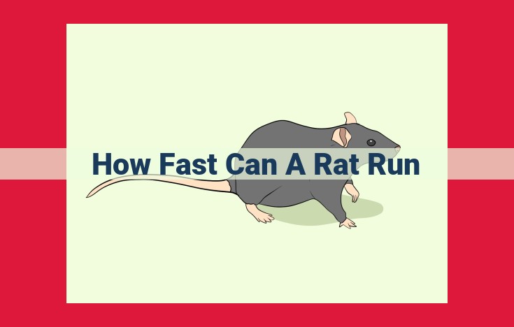 Unleashing the Speed of Rats: Physiological and Environmental Factors