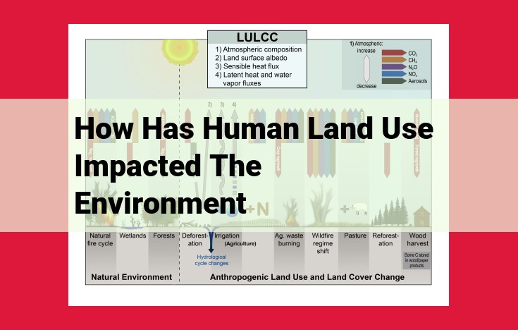 Human Impacts on Forests: Environmental Concerns and Stakeholder Conflicts