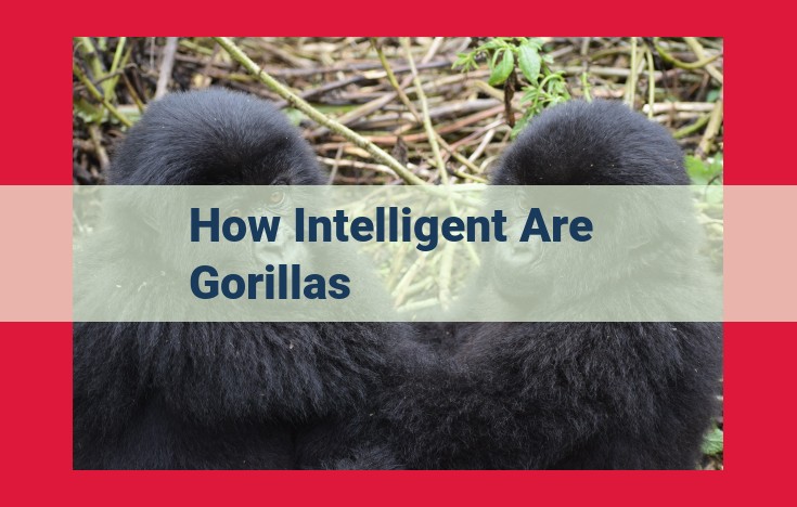 Gorillas: Remarkable Intelligence and Conservation Focus