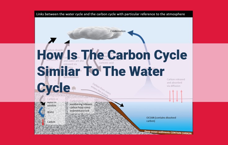 Understanding the Vital Interconnections: Carbon and Water Cycles in Earth's System