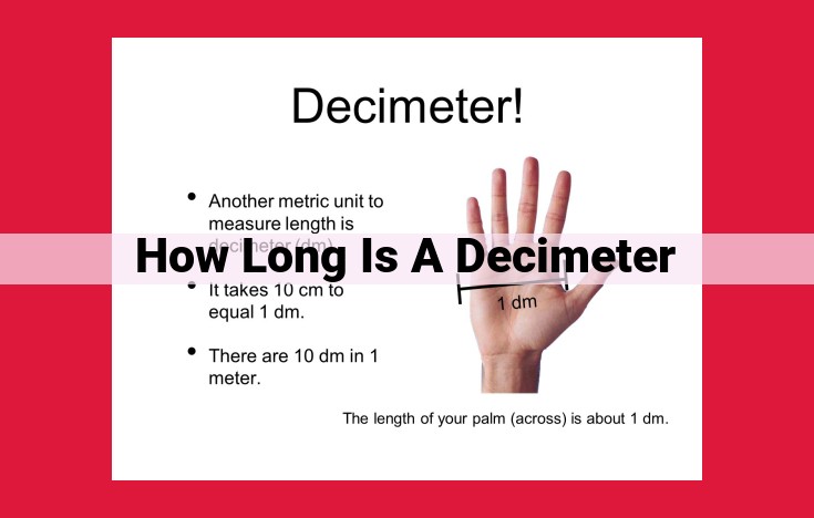 Understanding the Decimeter: A Metric Unit of Measurement