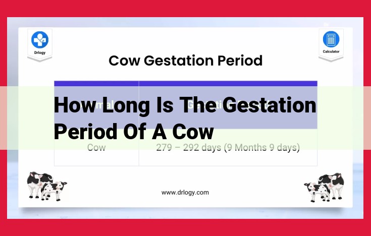 Bovine Gestation: A Detailed Overview of Pregnancy Duration in Cattle