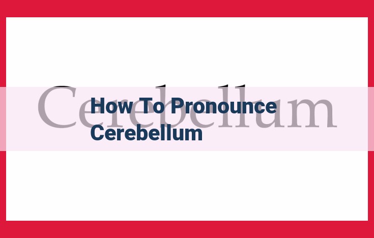 Mastering the Pronunciation of "Cerebellum": A Comprehensive Guide