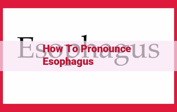 How to Pronounce "Esophagus" Correctly: A Step-by-Step Guide