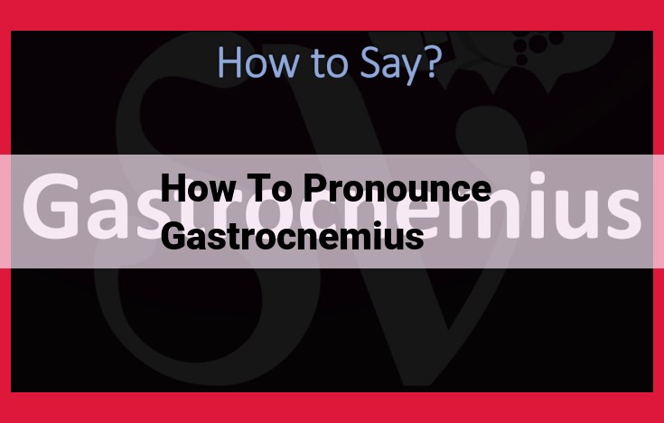 Understanding Gastrocnemius: Pronunciation, Anatomy, and Function for Calf Injuries