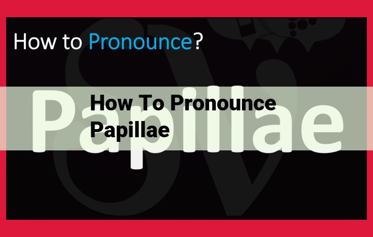 Pronunciation Guide: Enhance Your Taste Experience with Papillae