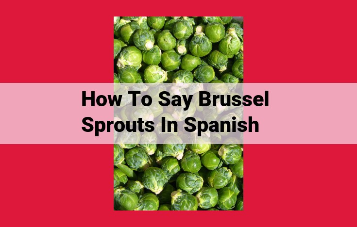 Brussels Sprouts: A Culinary Delicacy with Diverse Names in Spanish-Speaking Countries