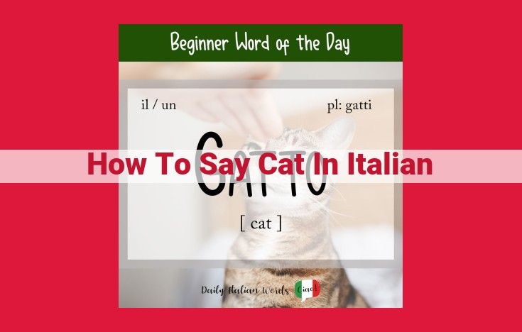 How to Say "Cat" in Italian: A Comprehensive Guide for Learners