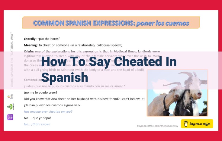 How to Say "Cheated" in Spanish: Synonyms and Usage Guide