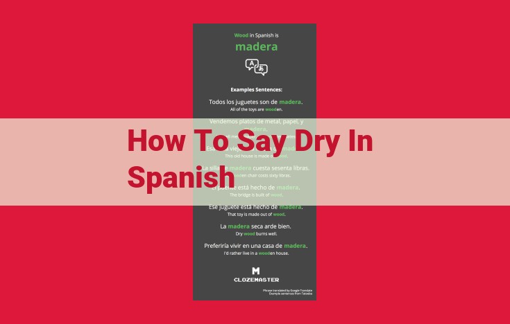 Mastering the Spanish Word "Seco": Unraveling "Dry" in Various Contexts