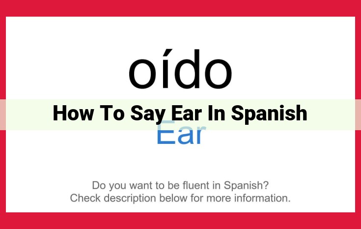 Understanding Ear Anatomy: The Importance of the "Oreja" in Spanish