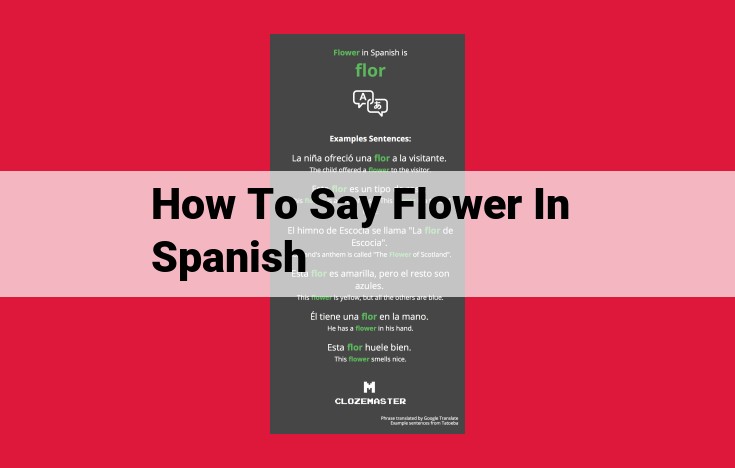 Spanish Word for Flower: Flor