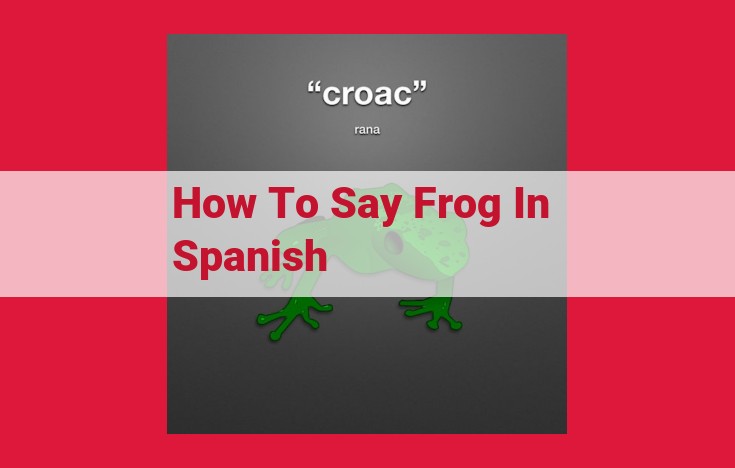 Easy Spanish Translation: Expressing "Frog" with "Rana"