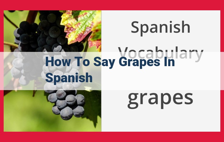 Grapes in Spanish: Ultimate Guide with Pronunciation Tips and Alternatives