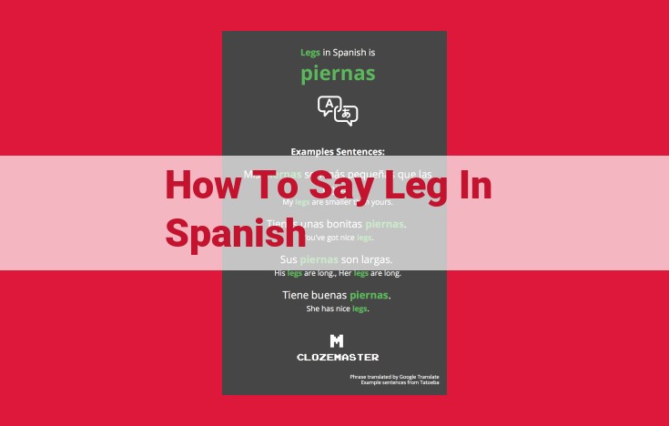 Essential Spanish Parts of Speech: Nouns, Verbs, and Adjectives