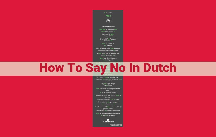 Politely Declining in Dutch: A Guide to Saying "No" with Respect