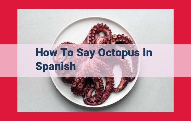 How to Say "Octopus" in Spanish: Pronunciation Guide to "Pulpo"