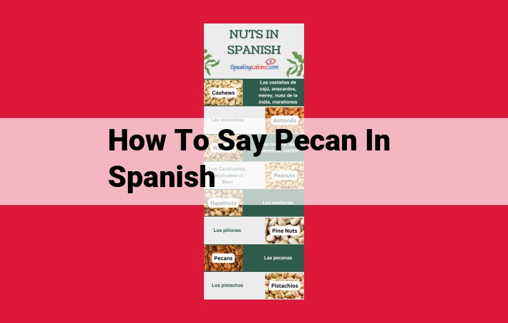 Translate "Pecan" to Spanish: Discover the Algonquian-Derived Term "Pacana"