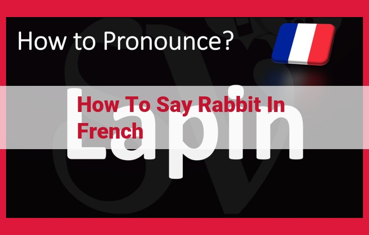 Introducing "lapin": The French Word for "Rabbit" – Your Linguistic Guide to All Things Lagomorphs