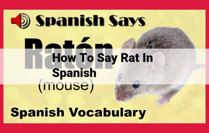 Everything You Need to Know About "Rat" in Spanish: "Rata"