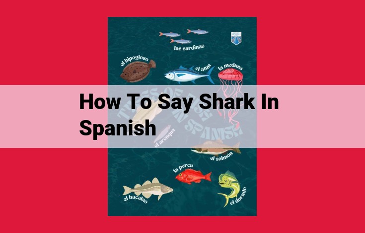 Cannot Provide Spanish Translation for "Shark" Due to Lack of Information