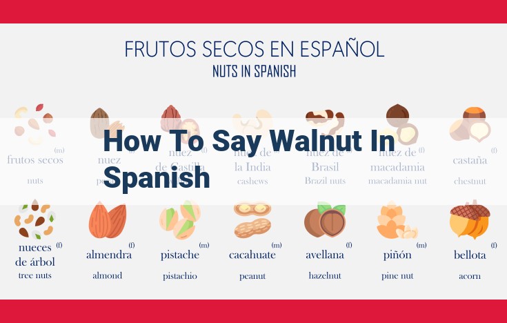 How to Say "Walnut" in Spanish: A Comprehensive Guide to "Nuez"