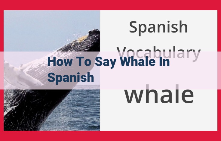 Express "Whale" in Spanish: Use "Ballena" for the Largest Mammal on Earth