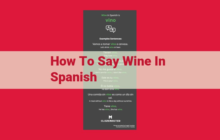 Essential Spanish Phrases for Wine Enthusiasts