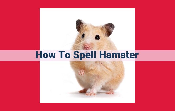 Master the Art of Spelling "Hamster": A Simplified Guide for Flawless Spelling