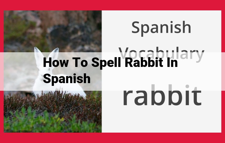 Unveiling the Etymology of "Rabbit": A Journey through Spanish Orthography, History, and Cultural Significance